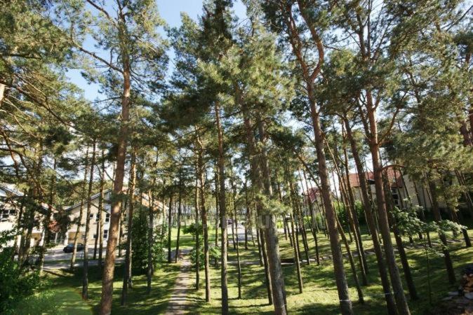 Kotedzas-Irena Apartman Nida Kültér fotó